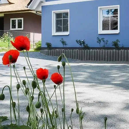 Strandhaus Gabriella 02 度假居